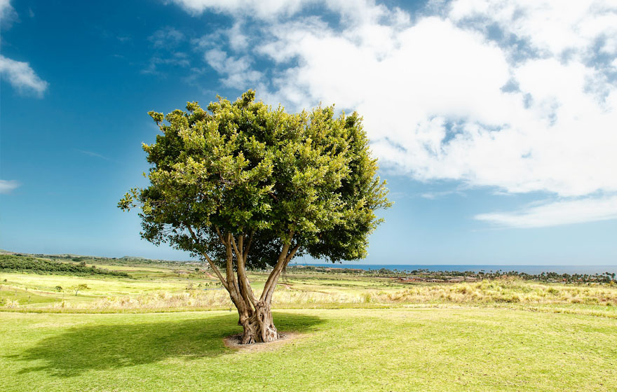 blb百乐博-非凡设想